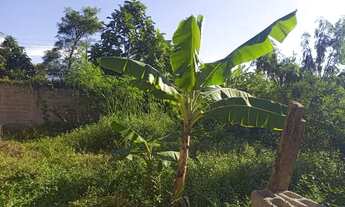 Imagem 3: Terreno Terreno / lote com venda por R$60.000