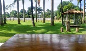 Imagem 3: VENDO / ALUGO Sítio em Aldeia Velha - Silva jardim