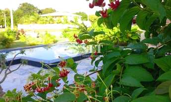 Imagem 4: S0797 - Casa à venda com 369m² de área construída em Nísia Floresta/RN