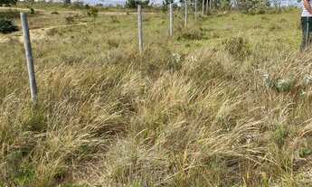 Imagem 5: Fazenda/Sítio/Chácara para venda tem 5000 metros quadrados em Zona Rural - Paraopeba - MG