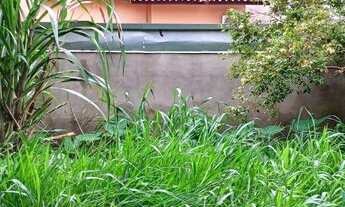 Imagem 5: Terreno de rua em zona mista, toda murada