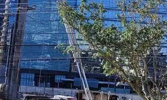 Imagem 6: Casa no Jardim Botânico