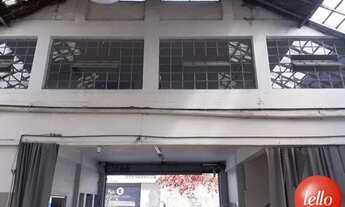 Imagem 4: São Paulo - Galpão/Depósito/Armazém - Santa Cecília