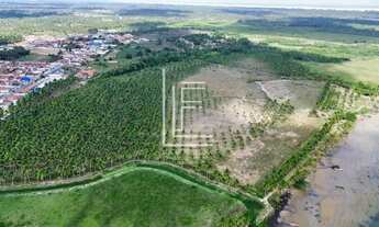 Imagem 3: Área 100% com 28 hectares às margens do Rio São Francisco, em Piaçabuçu-AL