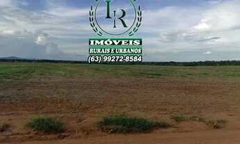Imagem 6: Fazenda Plantando 213 Alqueires