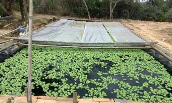 Imagem 3: Sitio 10 mil metros, casa, piscina, campo, poço artesiano, criatório de peixe, Lagoa Santa