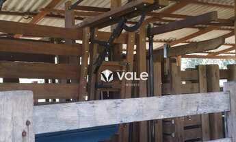 Imagem 7: Fazenda à venda, 571120 m² por R$ 3.000.000,00 - Plano Diretor Norte - Palmas/TO