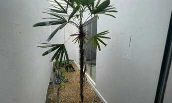 Imagem 13: Casa térrea para alugar com 3 quartos 2 suítes 3 vagas de garagens região do Coxipó