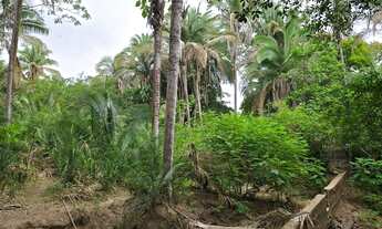 Imagem 3: Terreno para sítio 15 x 147 a 30 km de Teresina