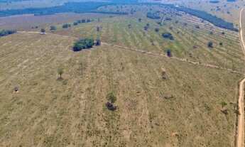 Imagem 5: Fazenda 974 hectares área total localizada em Serranópolis-GO