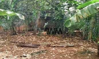 Imagem 3: Área à venda, 2635 m² por R$ 1.990.000,00 - Setor Central - São Luís de Montes Belos/GO