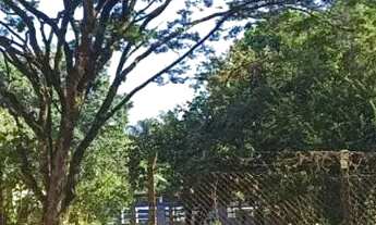 Imagem 3: BARATO DE MAIS, BOITUVA ESCRITURADA