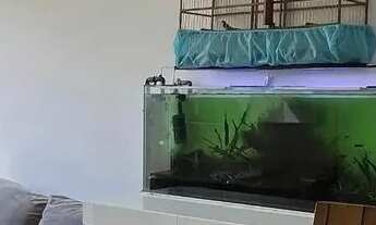 Imagem 4: Apartamento em Manacás - Belo Horizonte