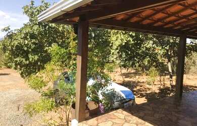 Imagem 6: Sitio 1500 m², casa, cisterna, plano, terra fértil, arvores frutíferas, fogão a lenha