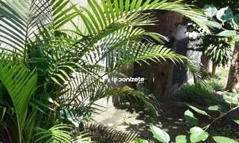 Imagem 2: Terreno à venda, 205 m² por R$ 850.000,00 - Vila Assunção - Santo André/SP