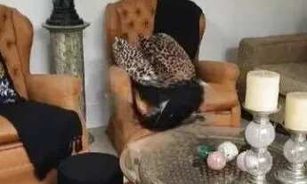 Imagem 2: RR8134 Casa 159m² CONDOMÍNIO TAMBORÉ 4 - OPORTUNIDADE - 3 Dorms 4 Vagas - Santana de Parna