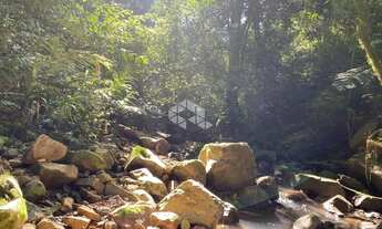 Imagem 4: Chácara com vista e riacho na Serra Gaúcha