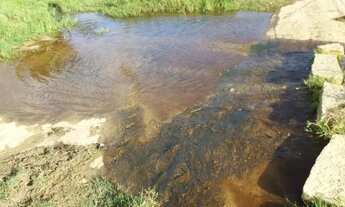 Imagem 4: Venda-se está propriedade de 26 Alqueires no Município de Mimoso do Sul/ES