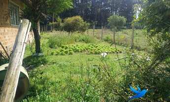 Imagem 6: Imóvel comercial / Residencial ao lado da rodovia em Agudos do Sul