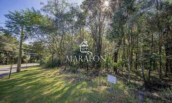 Imagem 3: TERRENO EM GRAMADO