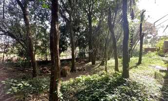 Imagem 7: Imóvel no Vinte e Cinco de Julho, Ivoti