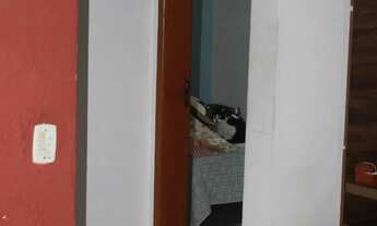 Imagem 6: Alugo ou Vendo Apartamento Raridade