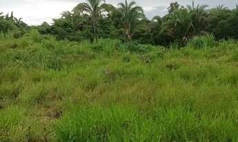 Imagem 6: Sitio com 8 hectares na região da cidade de Nossa Senhora do Livramento MT