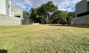 Imagem: Excelente lote de frente para a Mata no