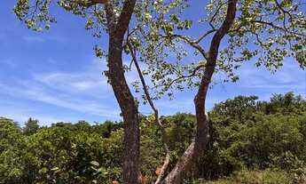 Imagem 3: Lote de Chácara 2.000 m² em Condomínio Fechado