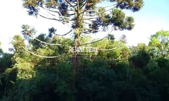 Imagem 7: Sítio Morro Redondo