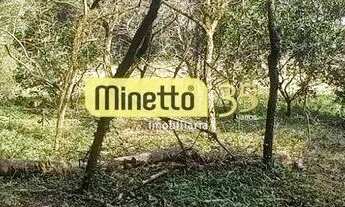 Imagem 4: VENDA - CHÁCARA EM SÃO GOTARDO/ BOCA DA SERRA