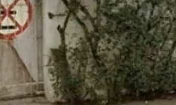 Imagem 2: TERRENO - VILA BASTOS - SP