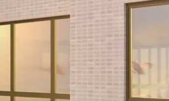 Imagem 7: RCR) Última unidade nascente | Melhor do Rosarinho