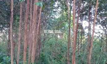 Imagem 6: Sítio Morro Redondo