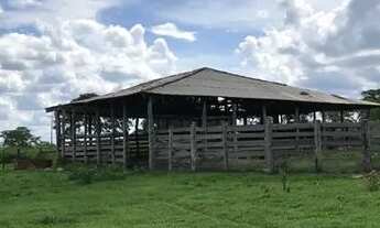 Imagem 7: Fazenda próxima de Cuiabá oportunidade coisa de patrão