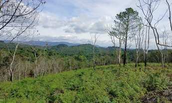Imagem 4: Chácara para Venda, Centro