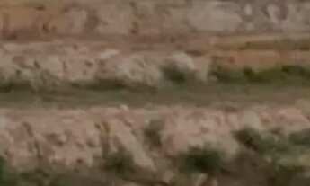 Imagem 2: TERRENO/LOTE A VENDA NO CONDOMÍNIO RESIDENCIAL MOSAICO HORIZONTES EM CESAR DE SOUZA, MOGI