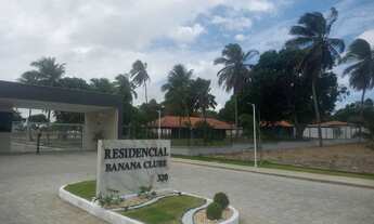 Imagem 2: Banana Residencial Condomínio