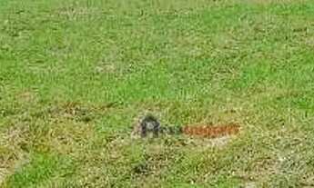 Imagem 3: Terreno à venda, 448 m² por R$ 583.466 - Quintas do Ingaí - Santana de Parnaíba/SP