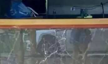 Imagem 7: Chácara 2,65 alqueires