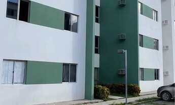 Imagem 7: Jardins do Janga- Mobiliado- Alugo-.