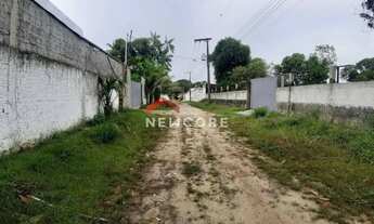 Imagem 5: Lote em - BR 174 - Manaus/AM