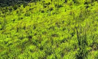 Imagem 2: Lotes em Atibaia A Oportunidade Ideal para Realizar Seu Projeto! - SP