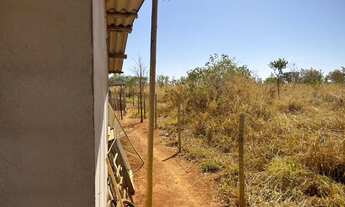 Imagem 4: Aluga-se Sítio em Paraopeba/MG - 10.000 m² com casa pronta para morar