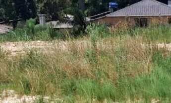 Imagem 4: Terreno estrada da ribeira