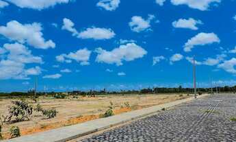 Imagem 4: Terrenos em ( Parnamirim