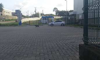 Imagem 4: Galpoes, tenho varios, todos tamanhos