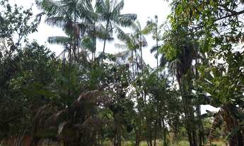 Imagem 4: Terreno 75x300 Casa+Poço Artesiano! - CASTANHAL PA