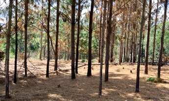 Imagem 4: LOTE/TERRENO EM MAIRINQUE COM 500M