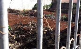 Imagem 5: Terreno c/ 350.33mts Jd Califórnia